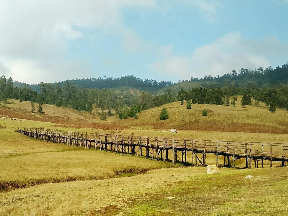 Photo of Bike Trip - Kodaikanal by Parthi Pan K