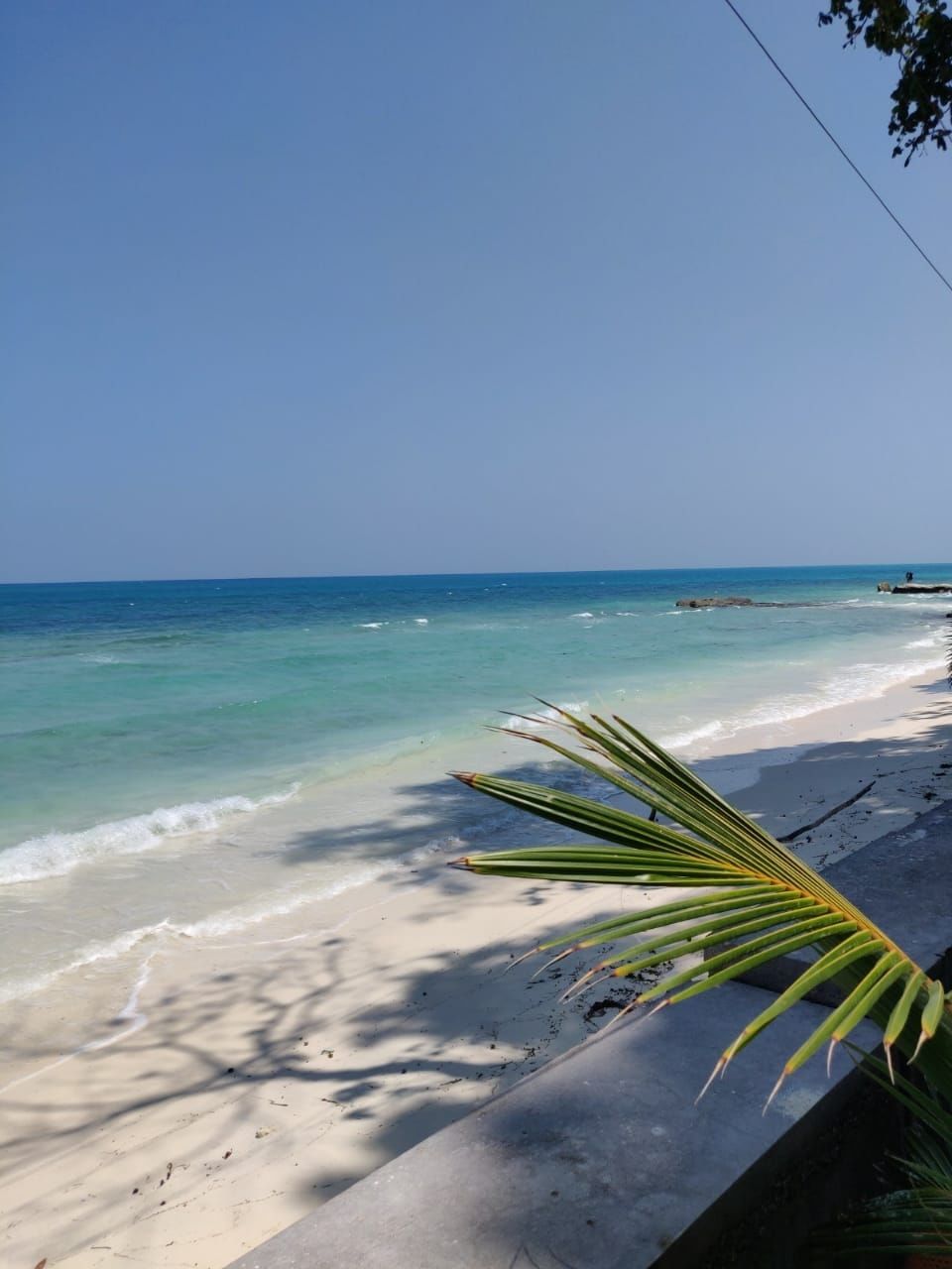 Photo of Guide To Budget Trip To Andaman by Shubhra Jha