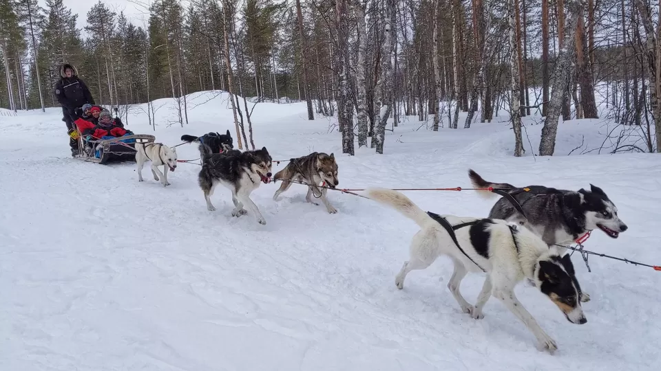 Photo of Rovaniemi, Finland by Sushma Materla