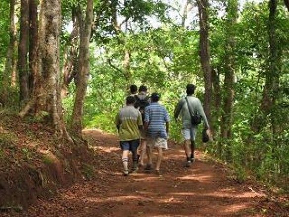 Photo of Dandeli Trekking |AdventureNest 1/1 by Lucy Austin