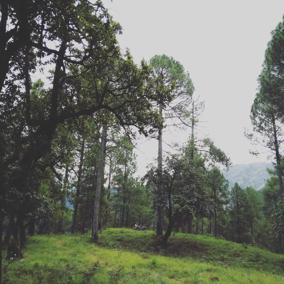 Photo of Kanatal, Kaudia Range, Uttarakhand, India by Anuj Burman