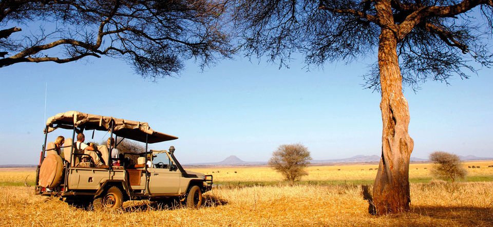 Photo of Why So Many Choose Africa as their Safari Destination 1/3 by Anamika Sharma