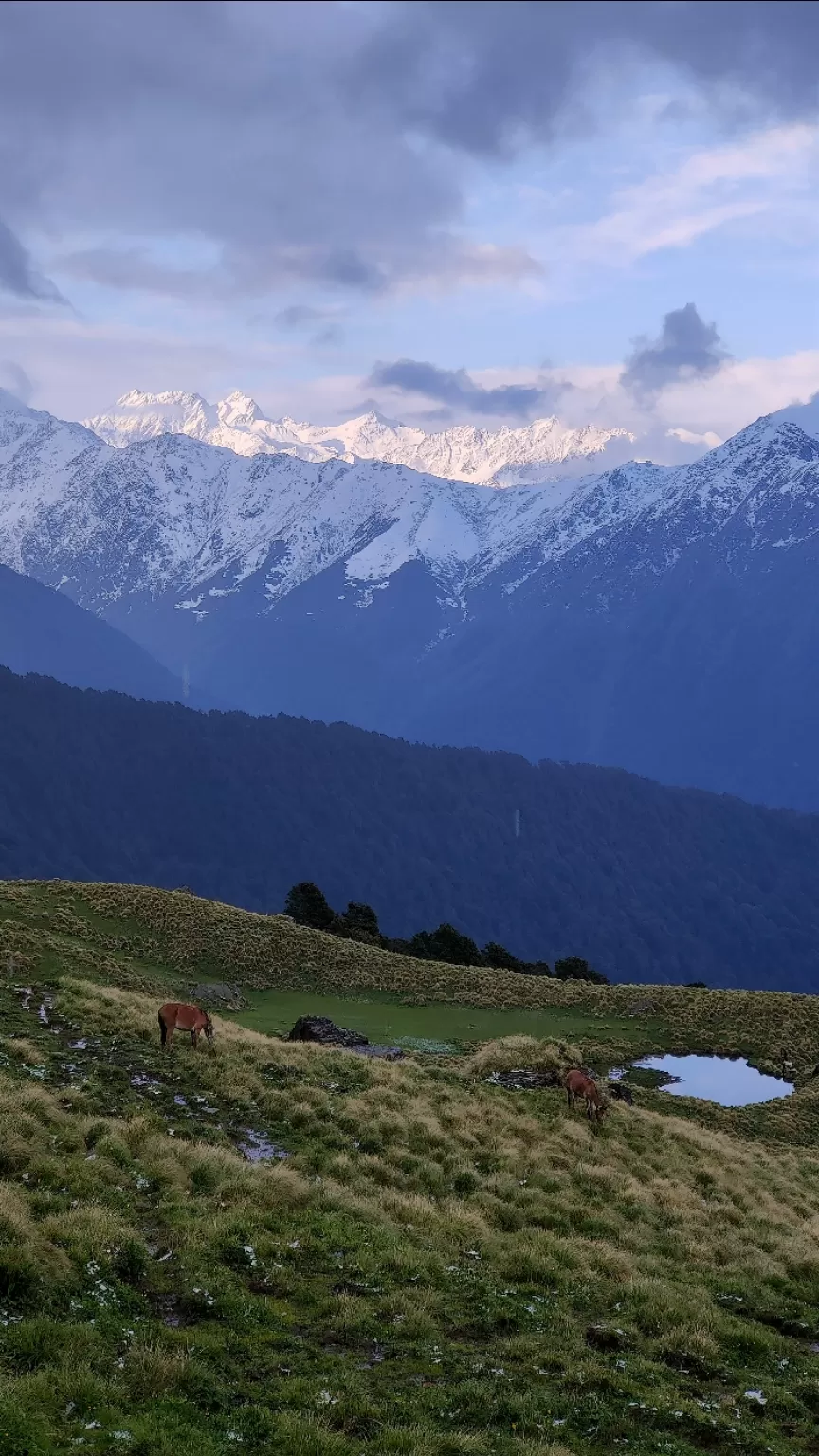 Photo of Journey to the Divine: The Rudranath Trek in Uttarakhand by Vibhu Anand Singh