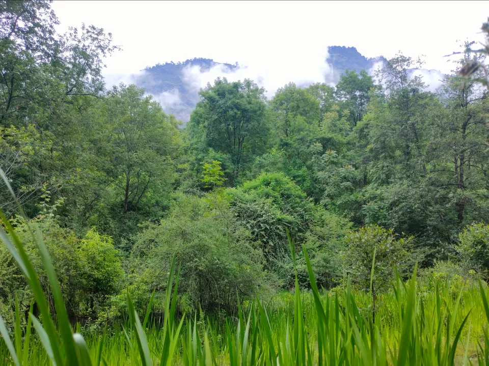 Photo of Journey to the Divine: The Rudranath Trek in Uttarakhand by Vibhu Anand Singh