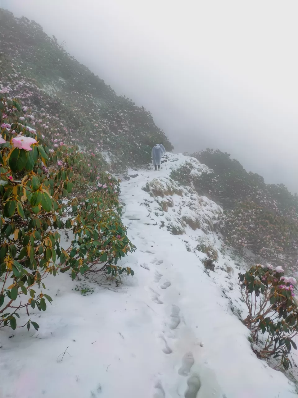 Photo of Journey to the Divine: The Rudranath Trek in Uttarakhand by Vibhu Anand Singh