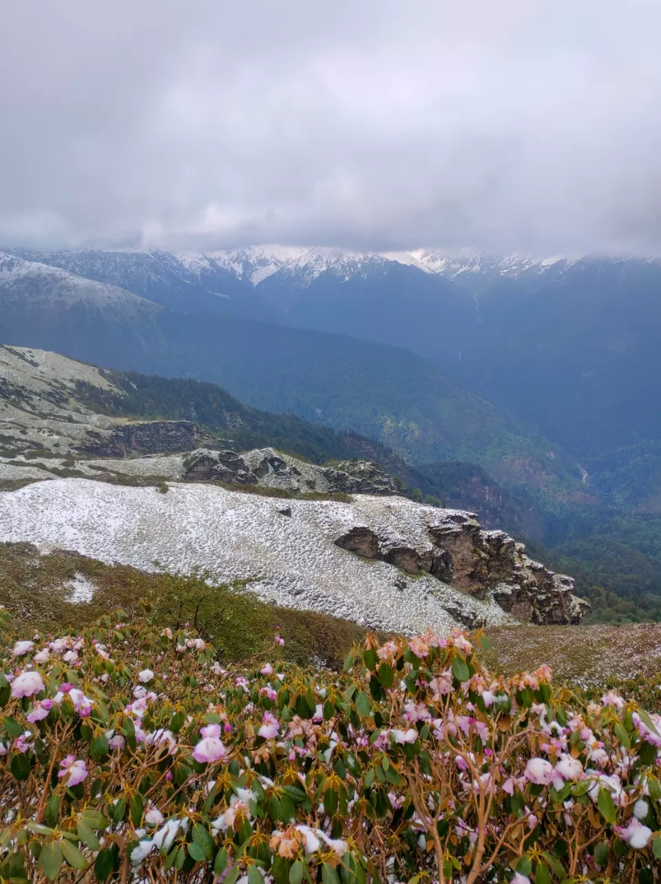 Photo of Journey to the Divine: The Rudranath Trek in Uttarakhand by Vibhu Anand Singh