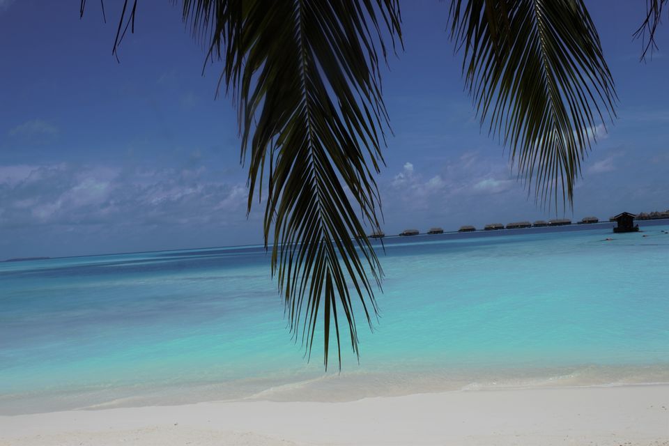 Photo of Addicted To Maldives 6/14 by Mahesh Karekar