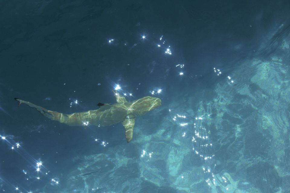 Photo of Addicted To Maldives 9/14 by Mahesh Karekar