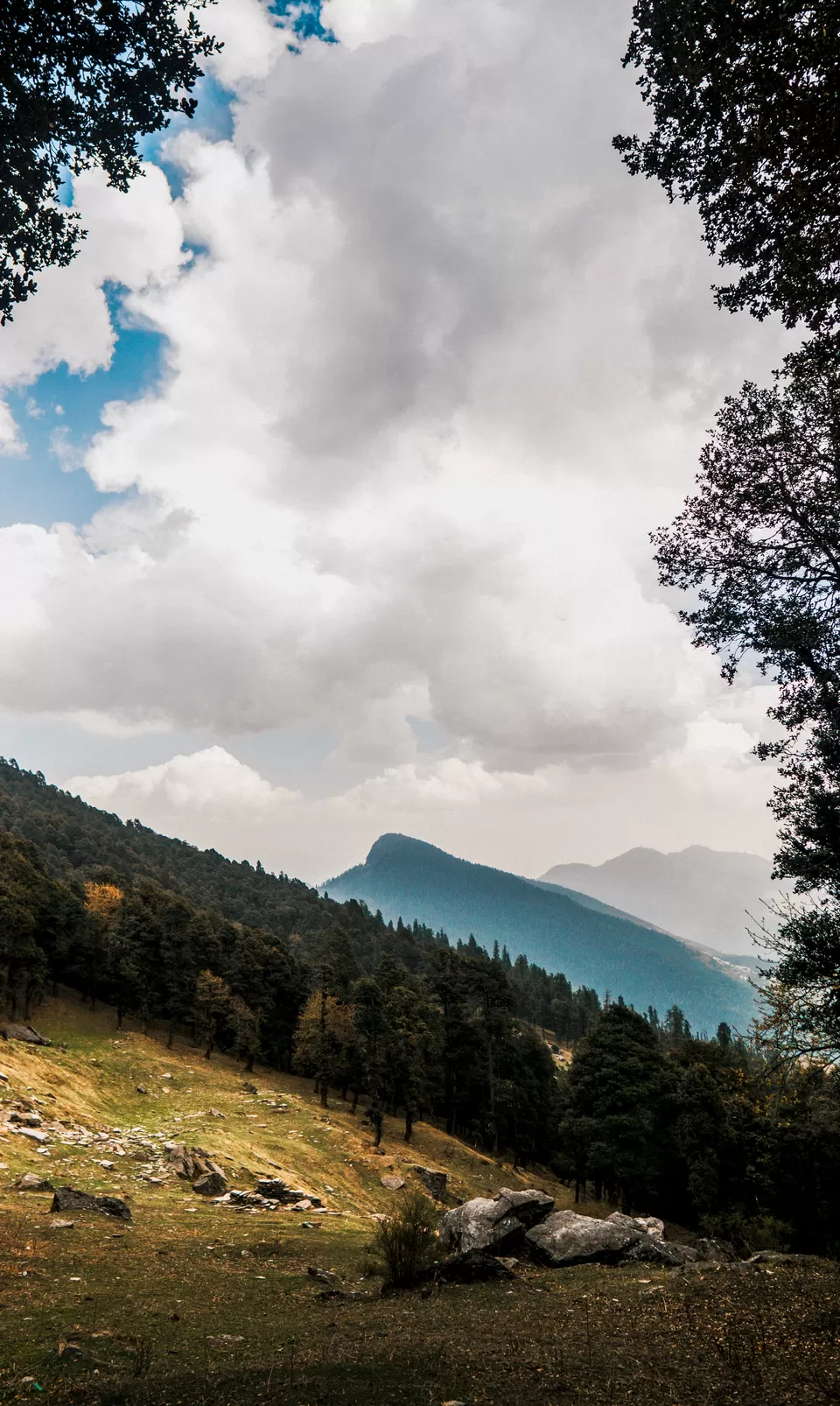 Photo of Jalori Pass, Jalori, Sajwar, Himachal Pradesh by Parth Pujara