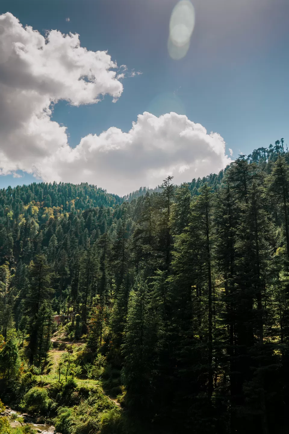 Photo of Jibhi, Himachal Pradesh, India by Parth Pujara