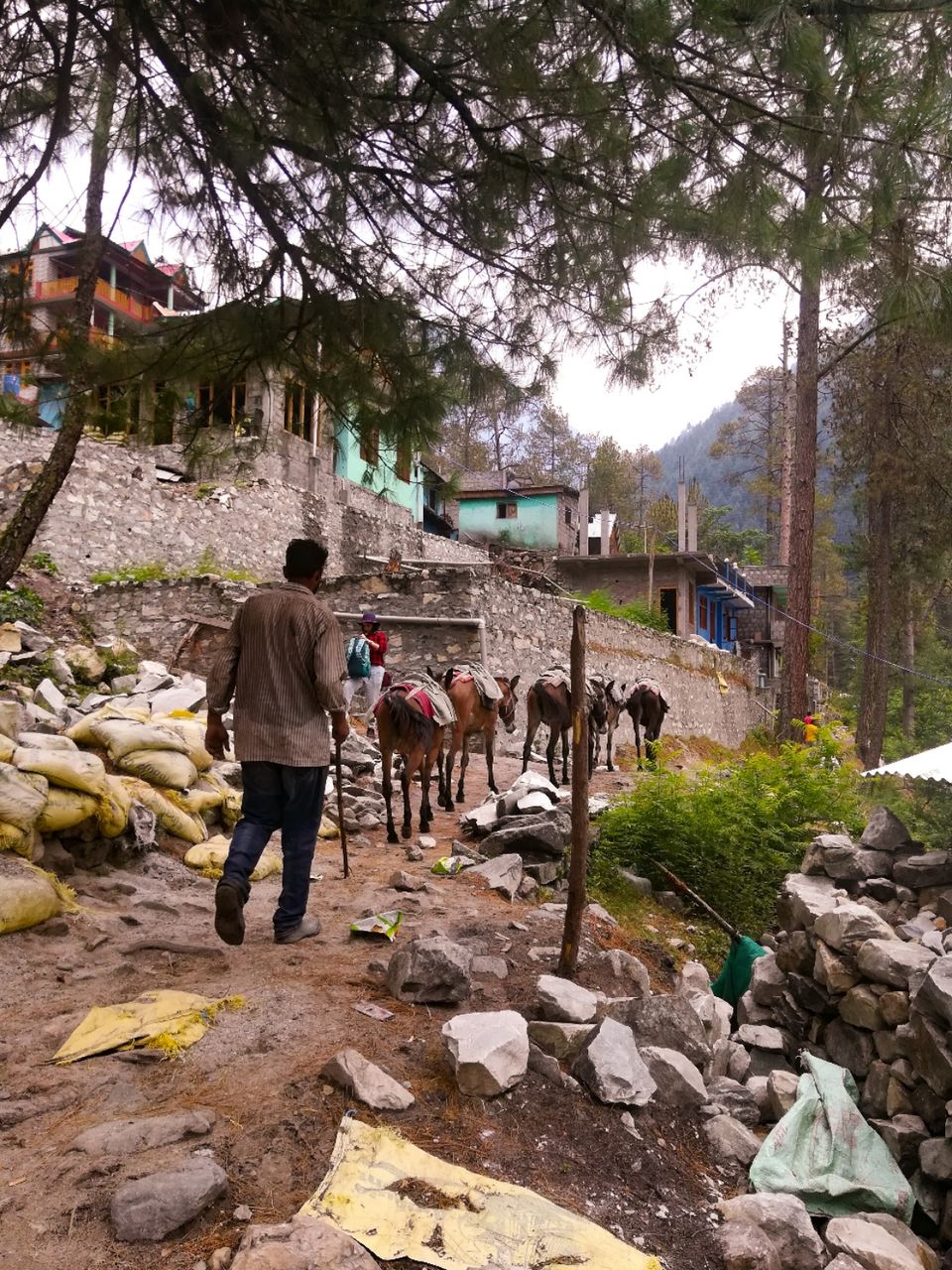 Photo of In search of the forbidden - A detailed journey from the fierce Parvati to the serene Tosh. by Chaitali Mandal