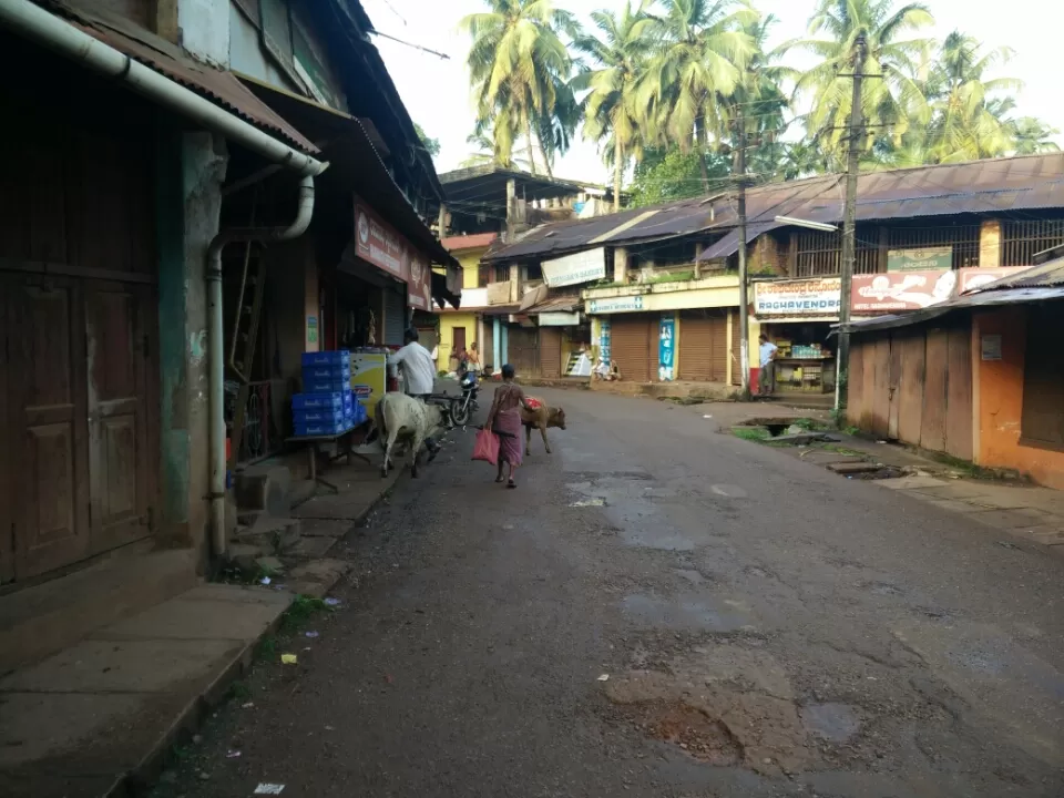 Photo of I urge you to take a walk down an unknown road of a remote village by Piyush Harwani