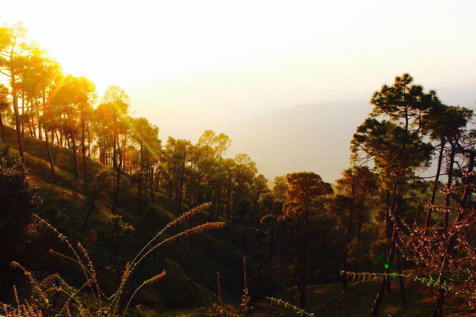 Photo of That one reason why you should be a tripper...!! Yes we travel!! 2/31 by Achal Gupta