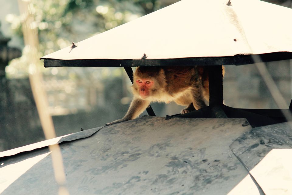 Photo of That one reason why you should be a tripper...!! Yes we travel!! 9/31 by Achal Gupta