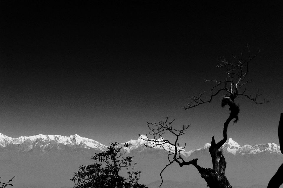 Photo of That one reason why you should be a tripper...!! Yes we travel!! 13/31 by Achal Gupta
