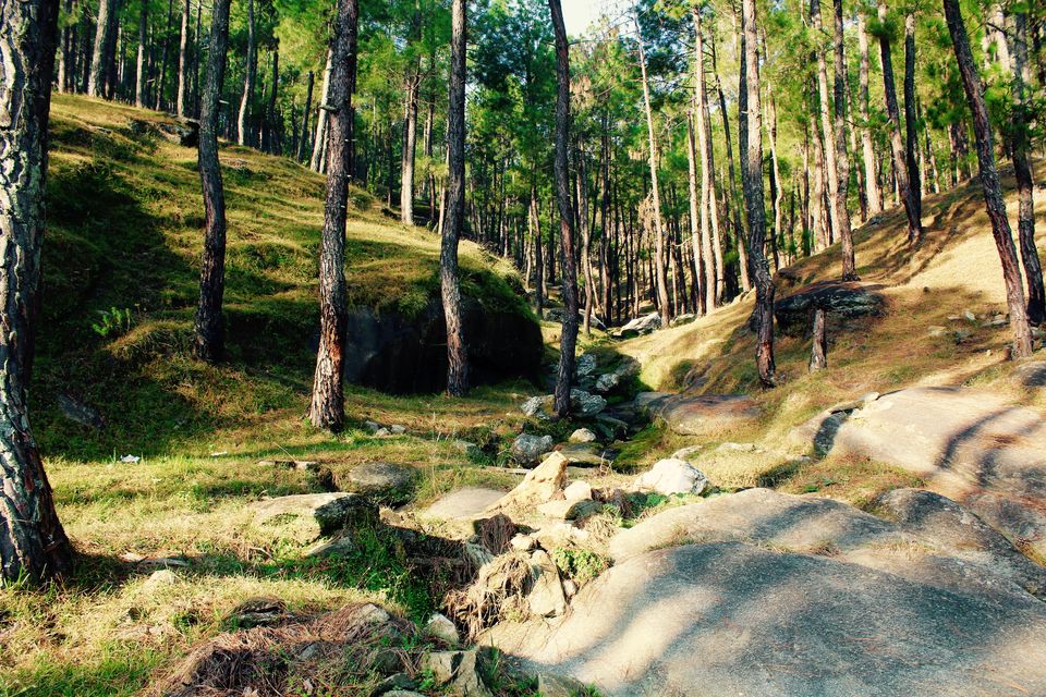 Photo of That one reason why you should be a tripper...!! Yes we travel!! 18/31 by Achal Gupta