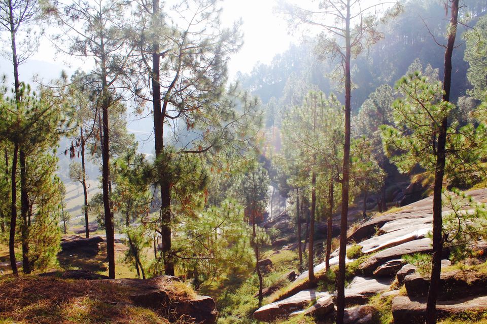 Photo of That one reason why you should be a tripper...!! Yes we travel!! 19/31 by Achal Gupta