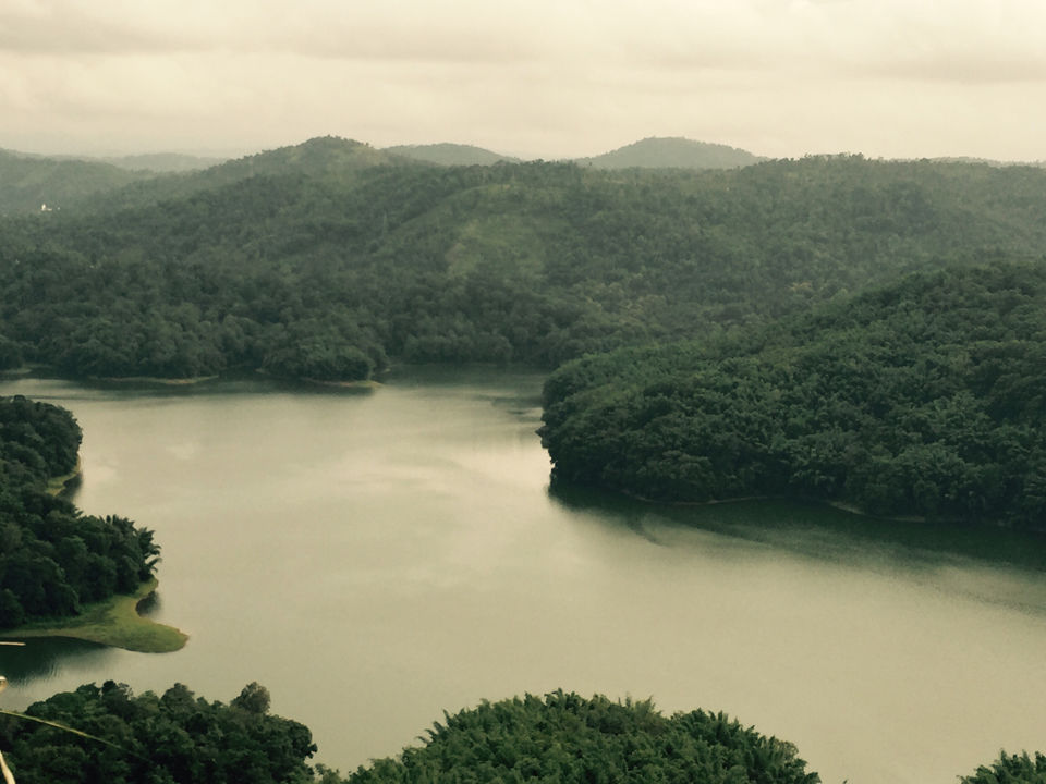 Photo of Munnar The Southern Manali by mukul