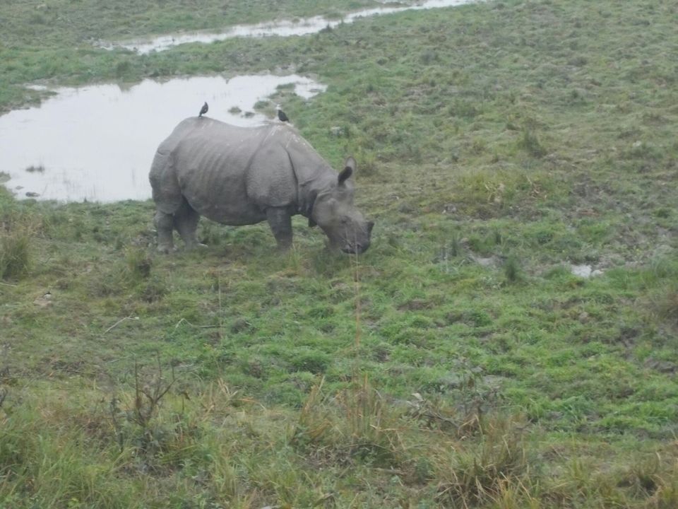 Photo of Kohora, Assam, India by Withyou Uma