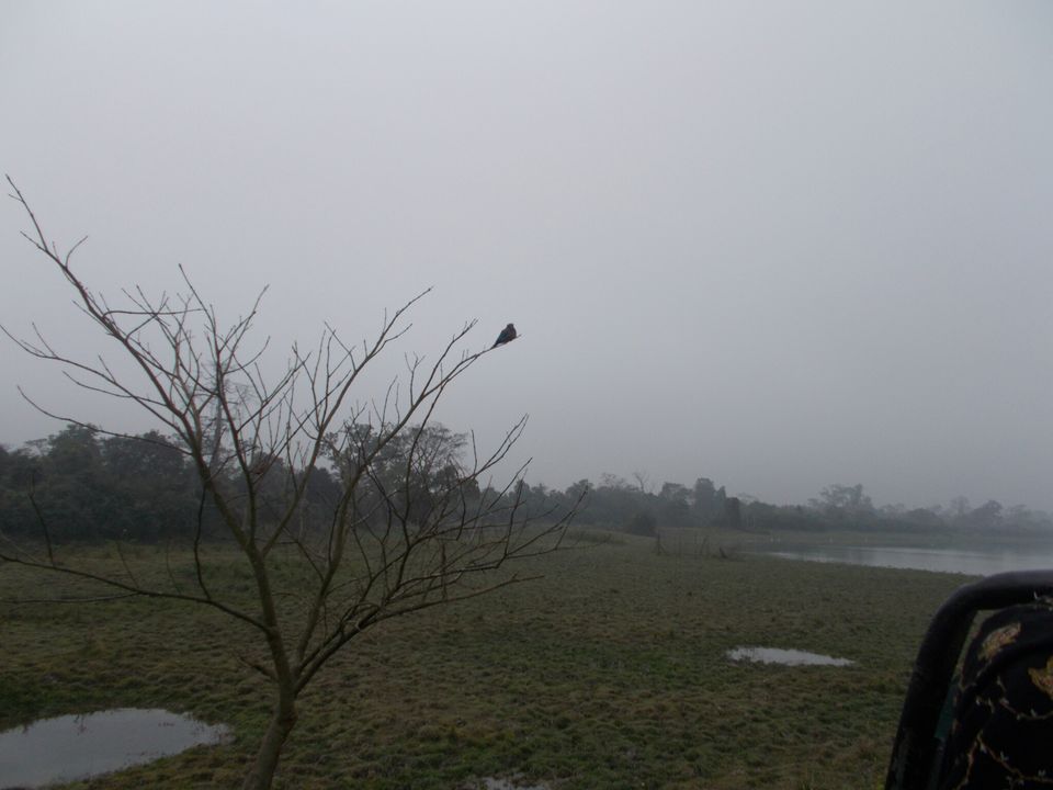 Photo of Kohora, Assam, India by Withyou Uma