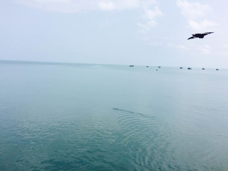Photo of "Journey to Rameswaram" by VINAY KARTHICK P