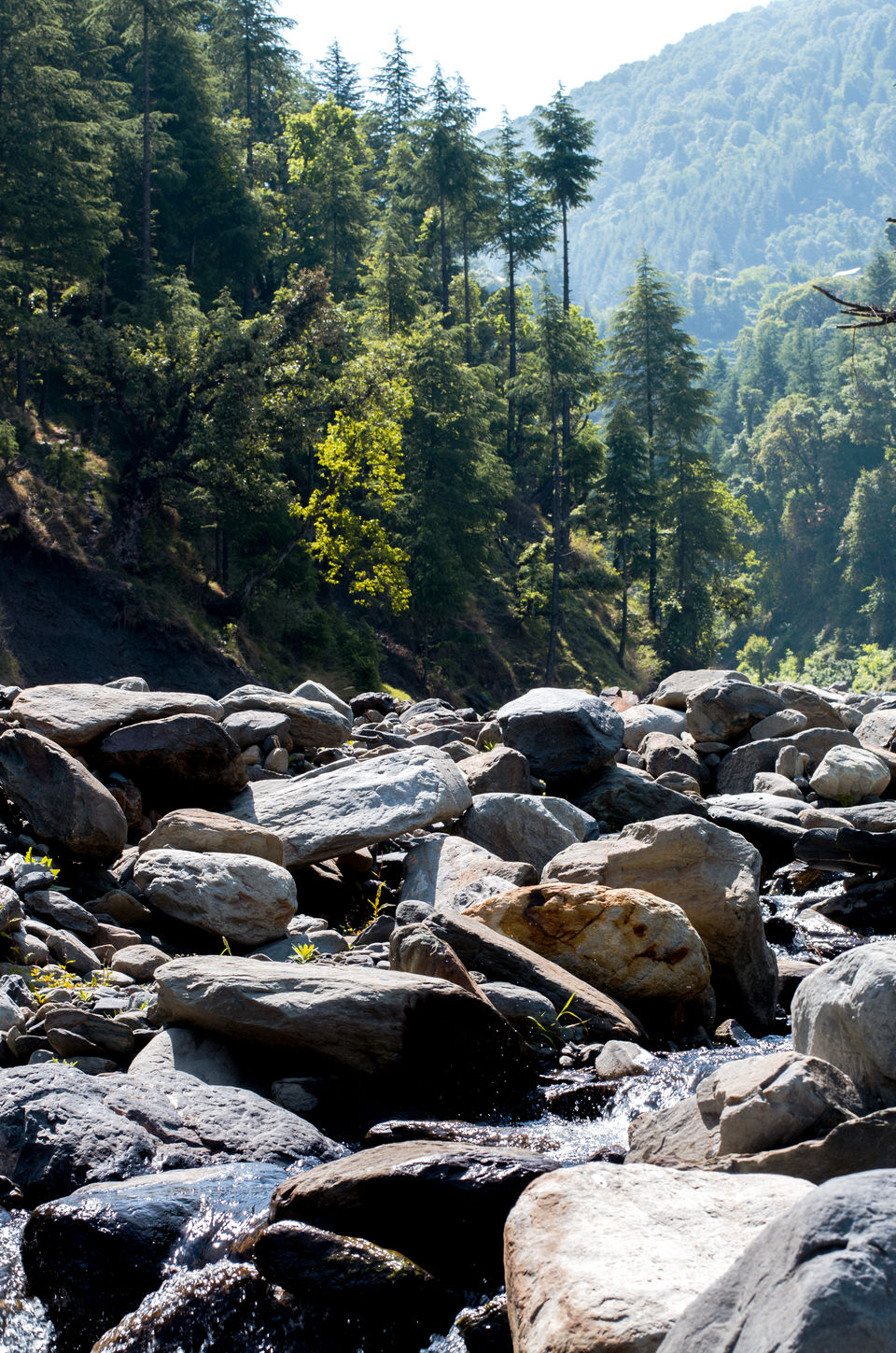 Photo of Travel Diary-The Tips Dos & Don'ts for Parashar Lake Trek (Day 1) by shongruff