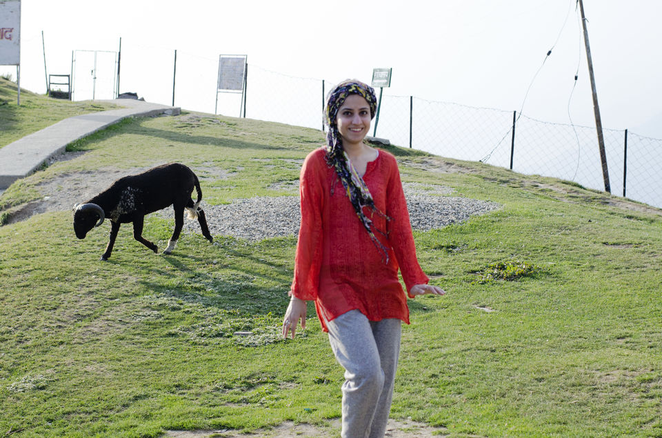 Photo of Travel Diary-The Tips Dos & Don'ts for Parashar Lake Trek (Day 1) by shongruff