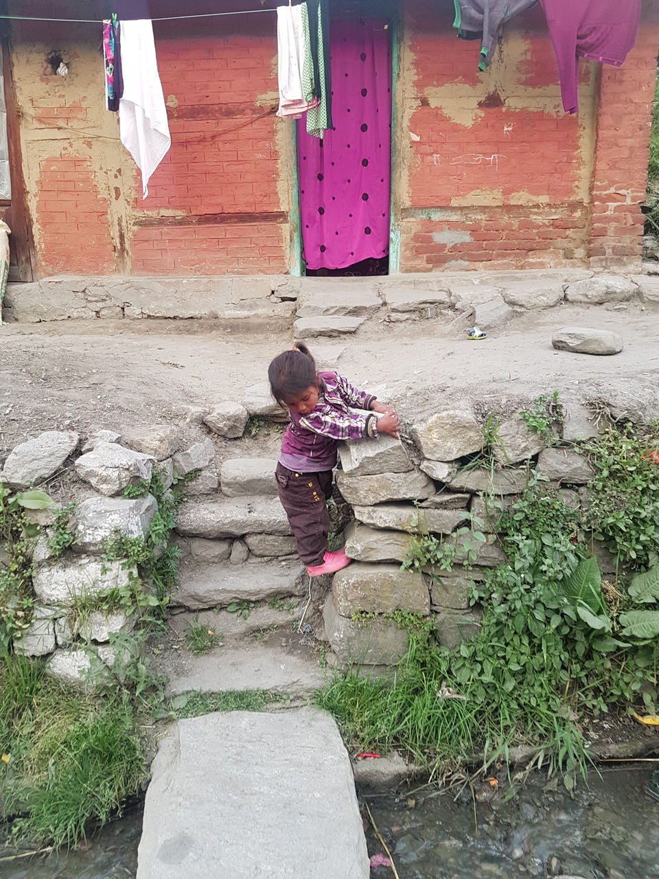 Photo of My First Experience with an 'ART Festival' in Manali by shongruff