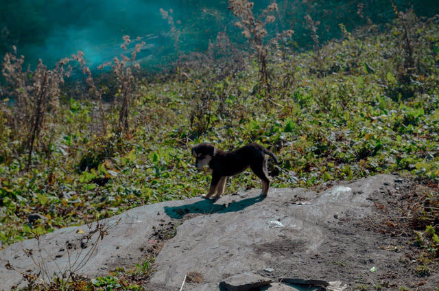Photo of 10 Things You Can Do in Manali, Himachal Pradesh 4/23 by shongruff