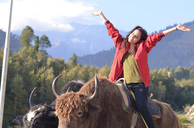 Photo of 10 Things You Can Do in Manali, Himachal Pradesh 8/23 by shongruff