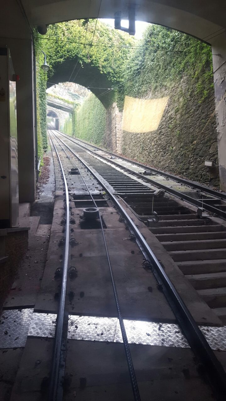 Photo of Bergamo, Province of Bergamo, Italy by Kelly & Anthony