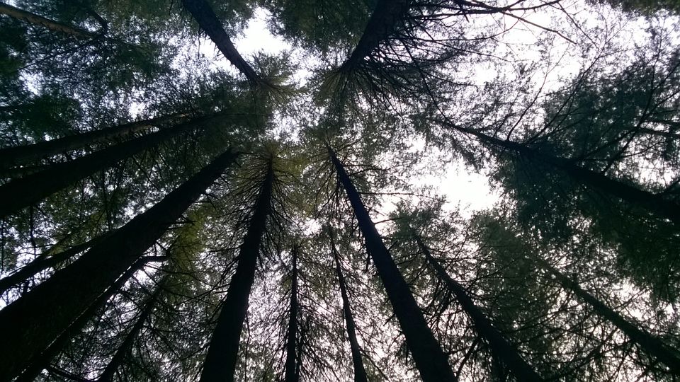 Photo of Kasol:The land of peace&wonder by ashik
