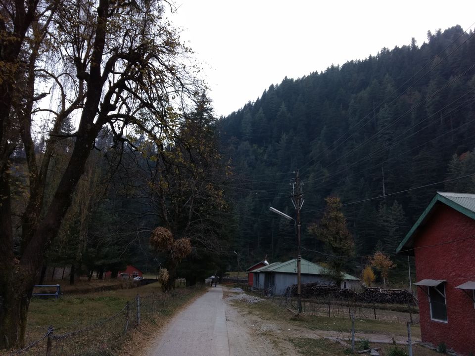 Photo of Wandering through Dev Bhoomi-Mandi ,Barot Valley by rahul raina