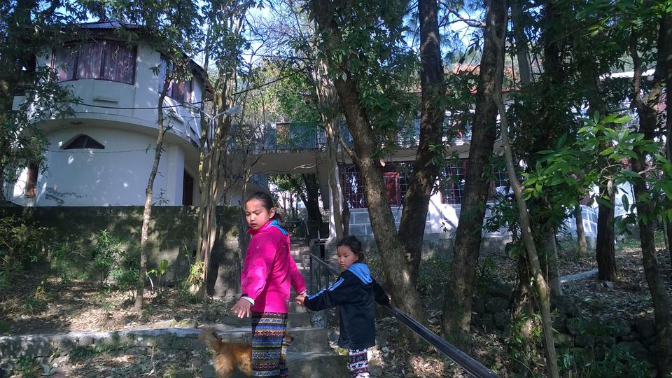 Photo of Hairpin Bends: Winter in the Kangra region by Priya Ray Chaudhuri