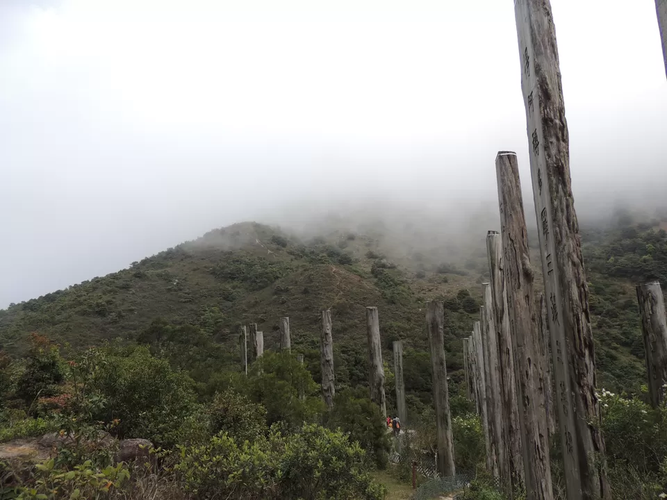 Photo of Wisdom Path, Hong Kong by Priya Ray Chaudhuri