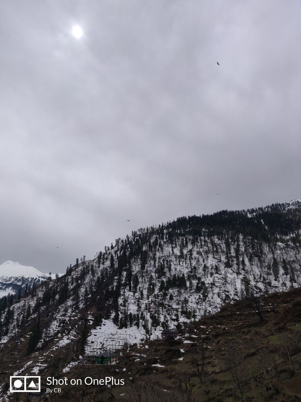 Photo of Pink Floyd Hotel, top, Tosh, Himachal Pradesh, India by Chaitanya Banala