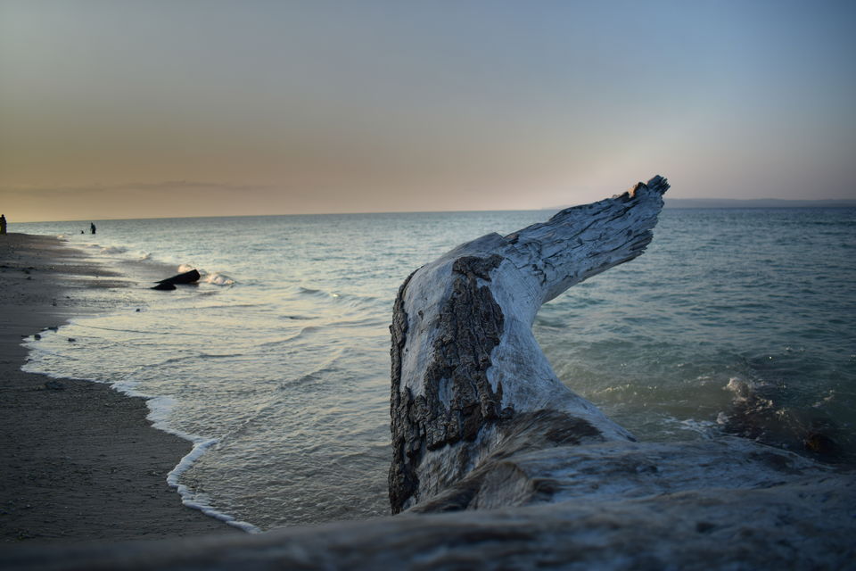 Photo of Neil Island, South Andaman, Andaman and Nicobar Islands, India by Twinkle Bala