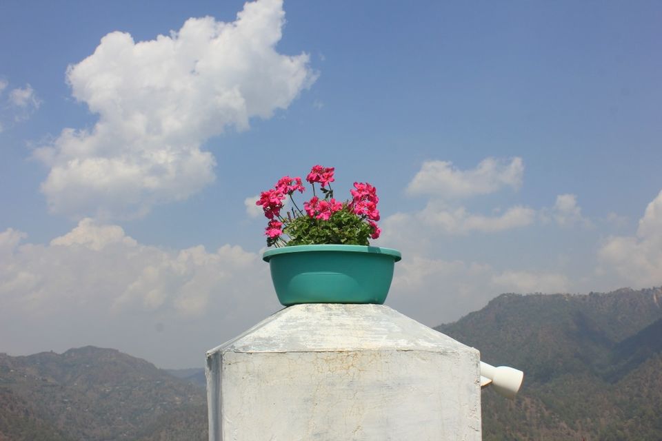 Photo of Tales Of A Globetrotter 1/4 by Priti Yashwant