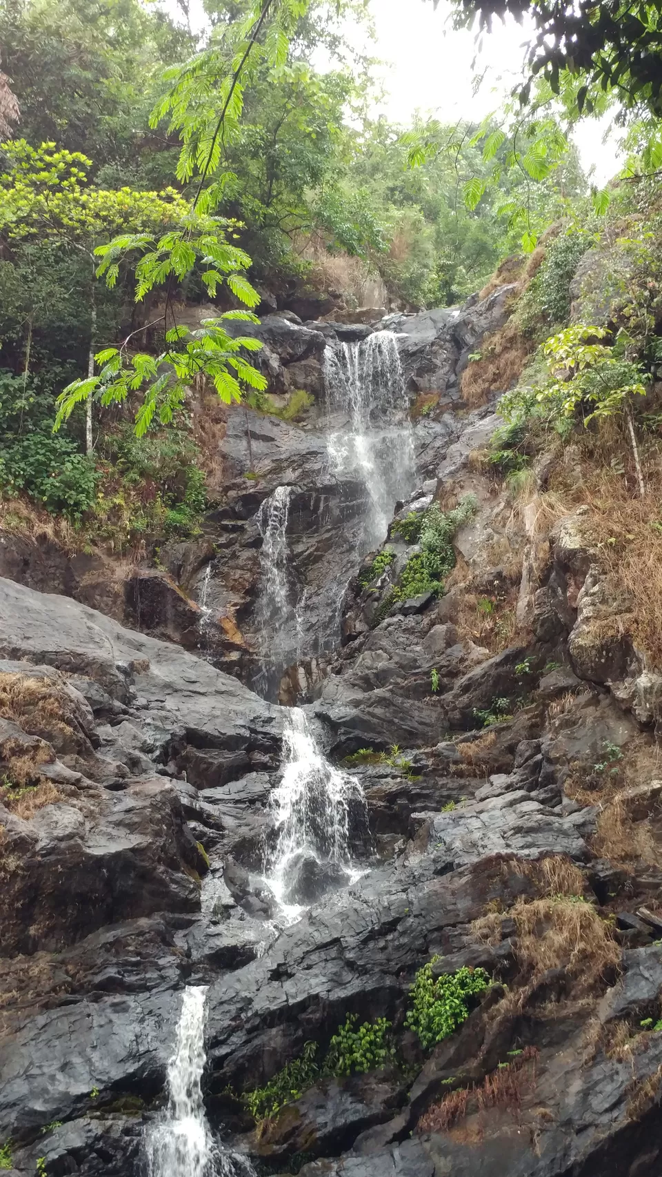 Photo of Iruppu Falls, Kurchi, Karnataka, India by Yoganand