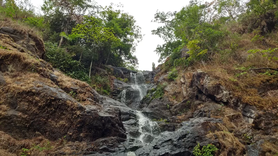 Photo of Iruppu Falls, Kurchi, Karnataka, India by Yoganand