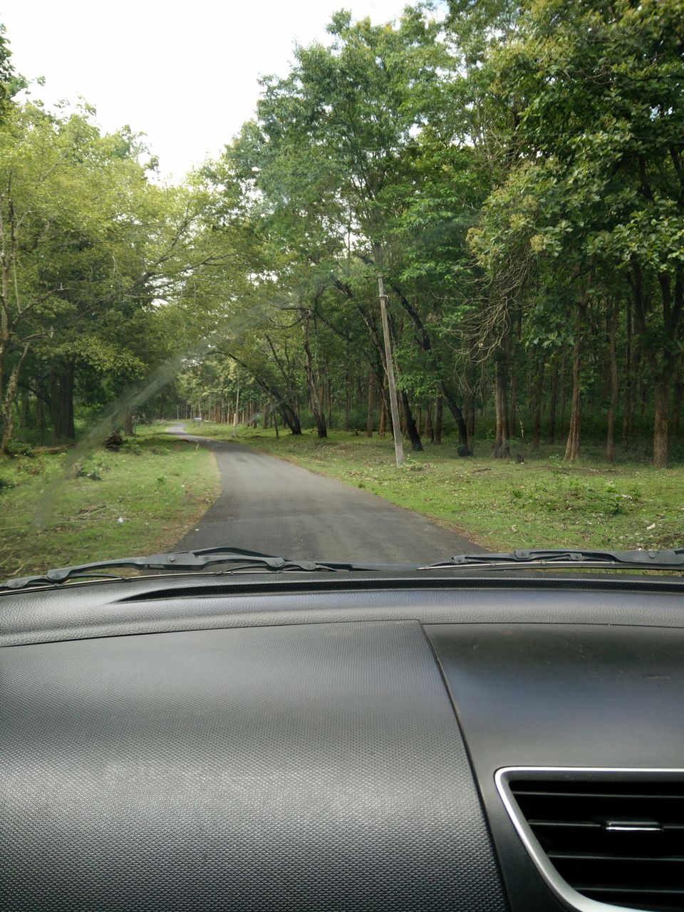Photo of Nagarahole National Park, Kodagu, Karnataka, India by Yoganand