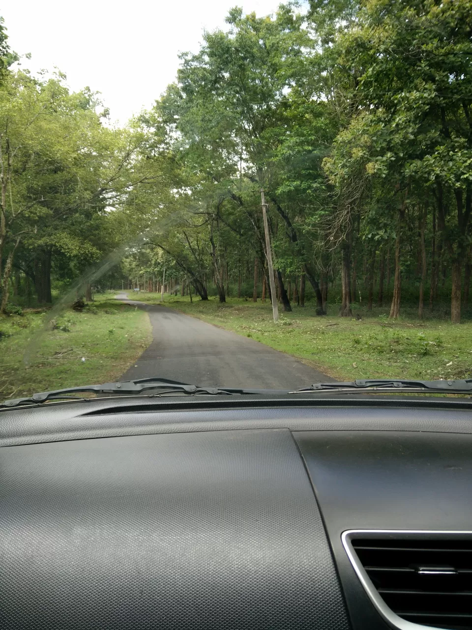 Photo of Nagarahole National Park, Kodagu, Karnataka, India by Yoganand