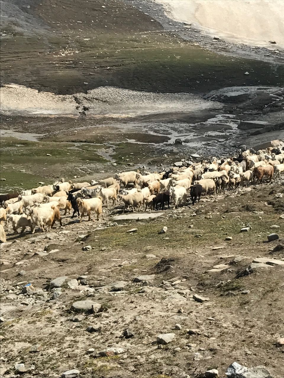 Photo of Manali - Rohtang - Kasol - Manikaran trip by Yoganand