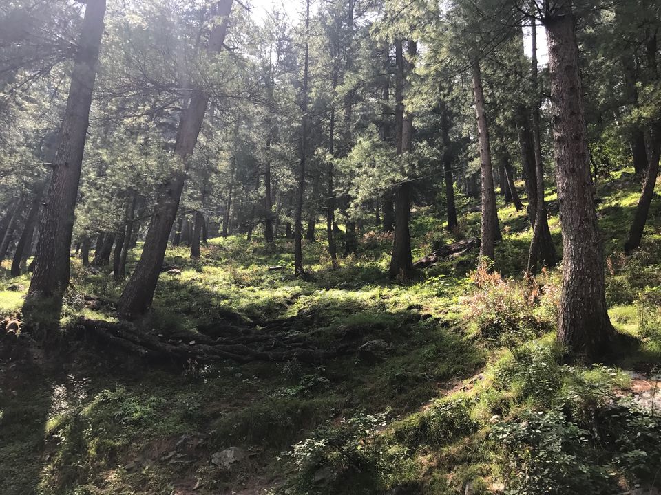 Photo of Kasol, Himachal Pradesh, India by Yoganand