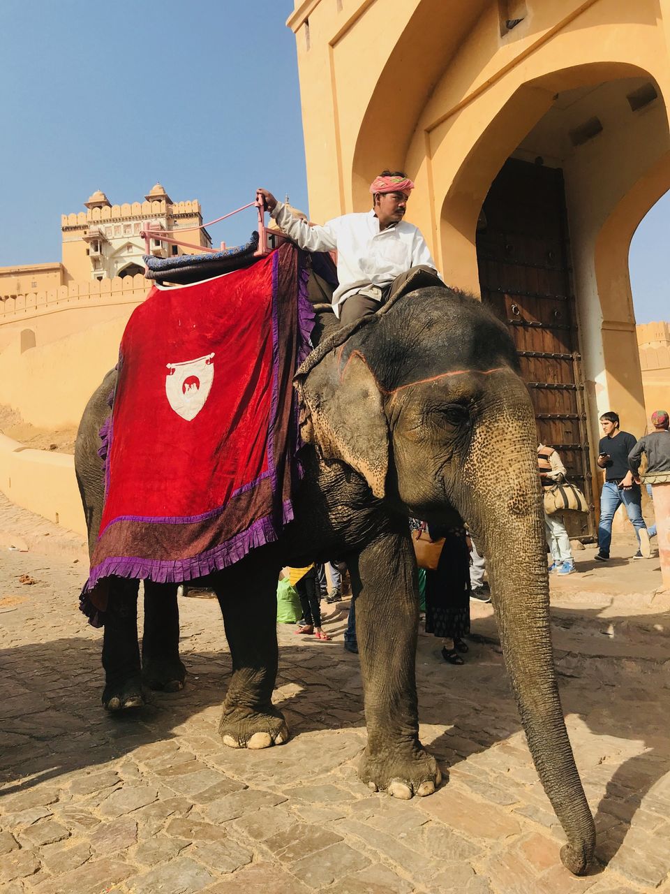 Photo of All about Jaipur - The Pink City - A short Solo getaway !! by Yoganand