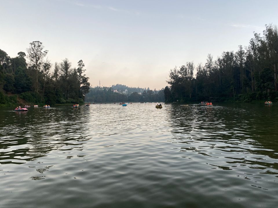 Photo of Ooty Lake, West Mere, Tamil Nadu by Yoganand