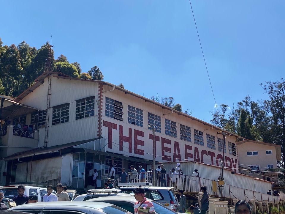 Photo of The Tea Factory & The Tea Museum, Udhagamandalam, Tamil Nadu, India by Yoganand