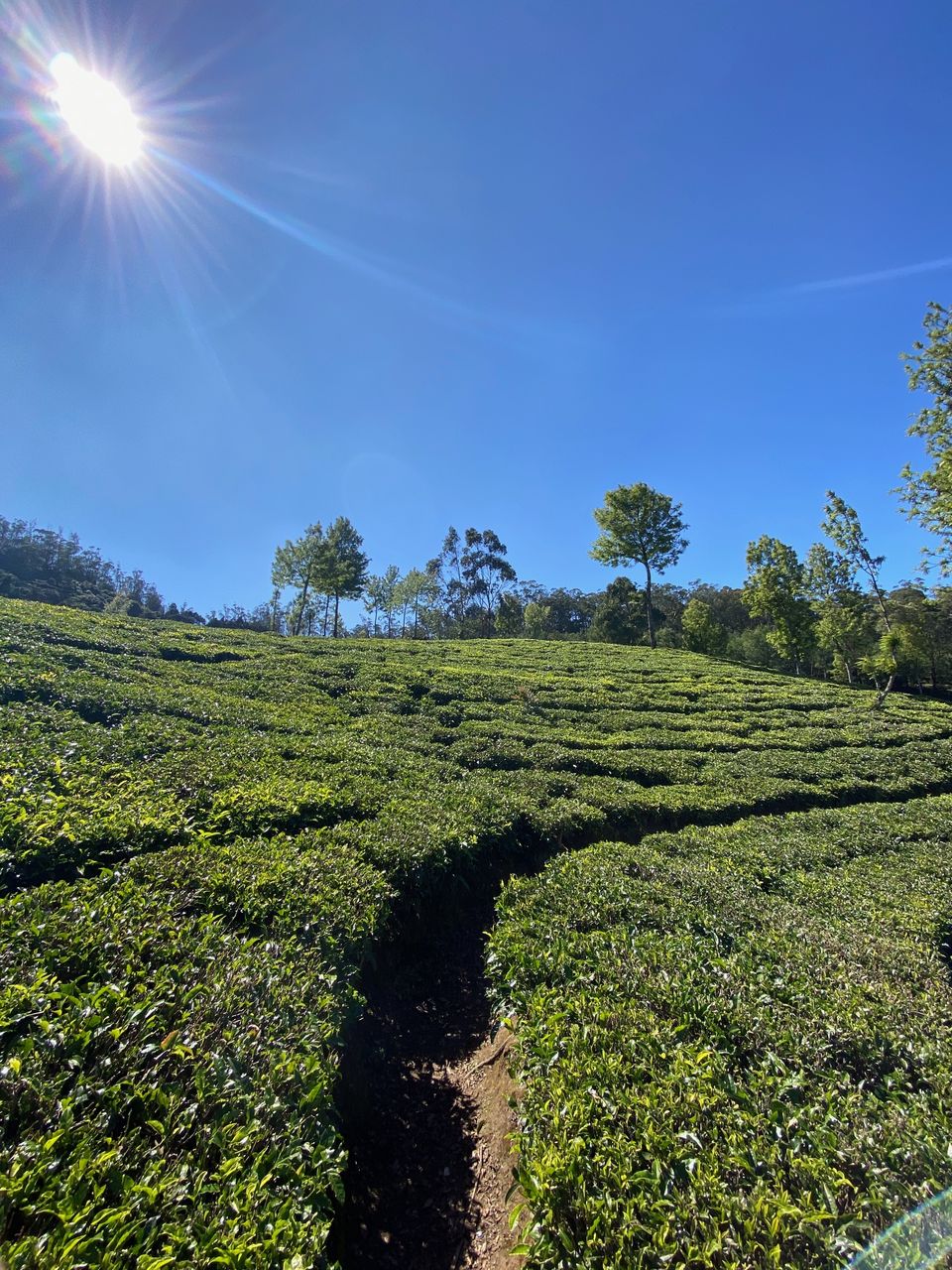 Photo of Alluring Ooty - A 3 day diary by Yoganand
