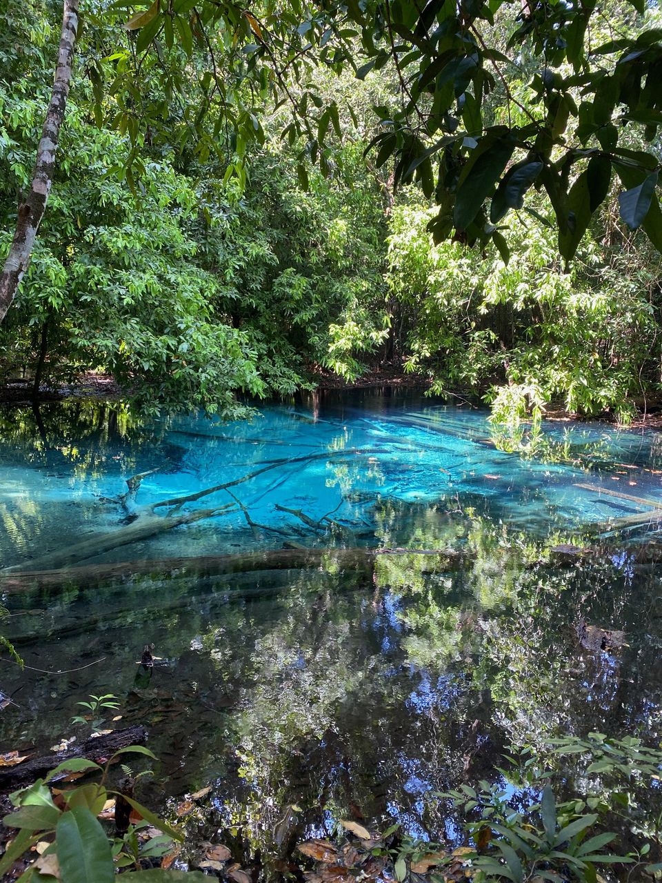 Photo of Blue Pool Krabi Thailand, Khlong Thom Nuea, Khlong Thom District, Krabi, Thailand by Yoganand