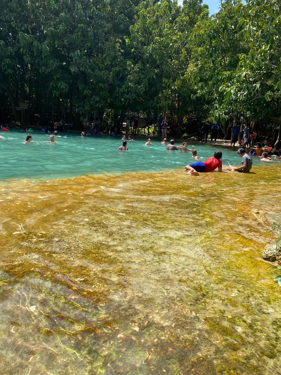 Photo of Emerald Pool, Khlong Thom Nuea, Khlong Thom District, Krabi, Thailand by Yoganand